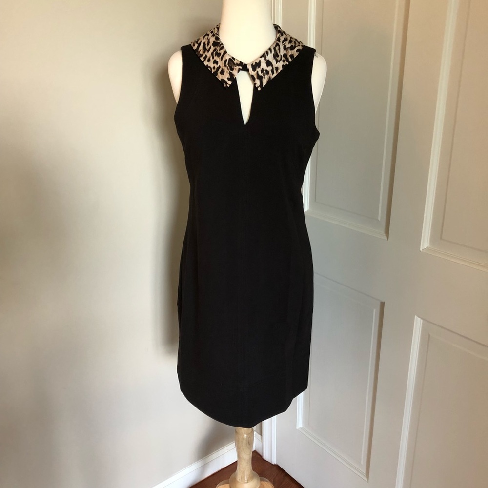 WHBM Shift Dress with Leopard Collar